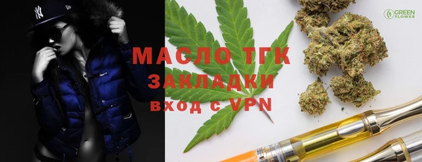 индика Нязепетровск