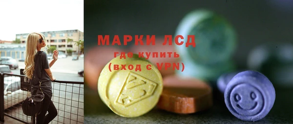 соль ск Новодвинск