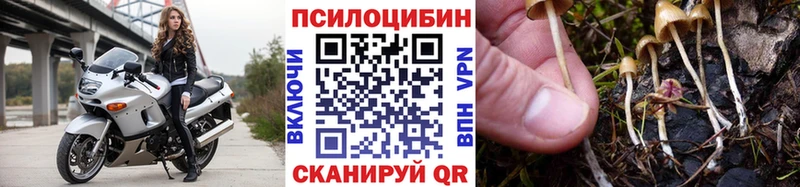 Галлюциногенные грибы Psilocybe  закладка  Кедровый 